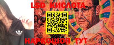 тгк Камышлов