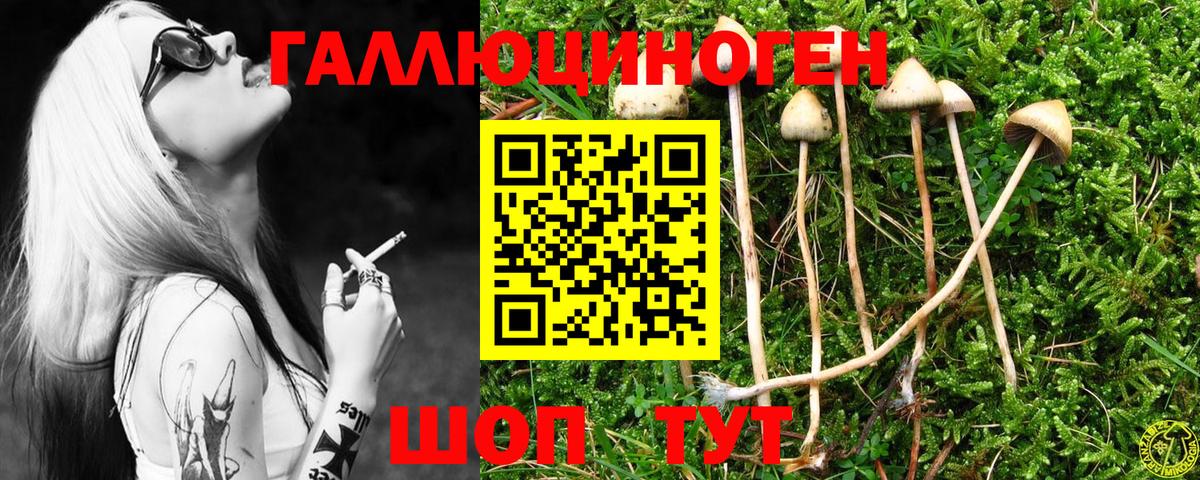 Псилоцибиновые грибы ЛСД  Вход с VPN  Чехов 