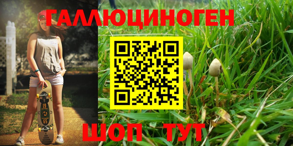 Псилоцибиновые грибы MAGIC MUSHROOMS Чехов